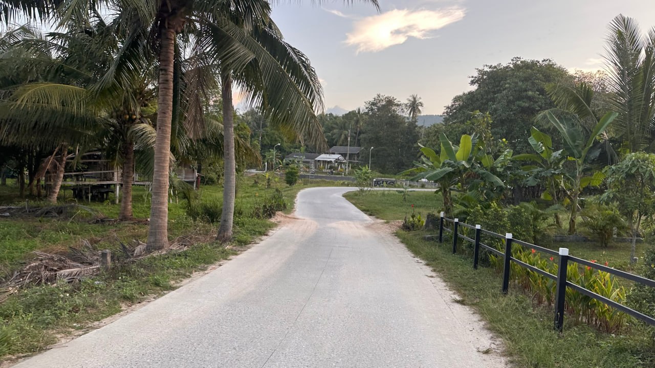 The quiet palm-lined road on Koh Phangan where the run happened
